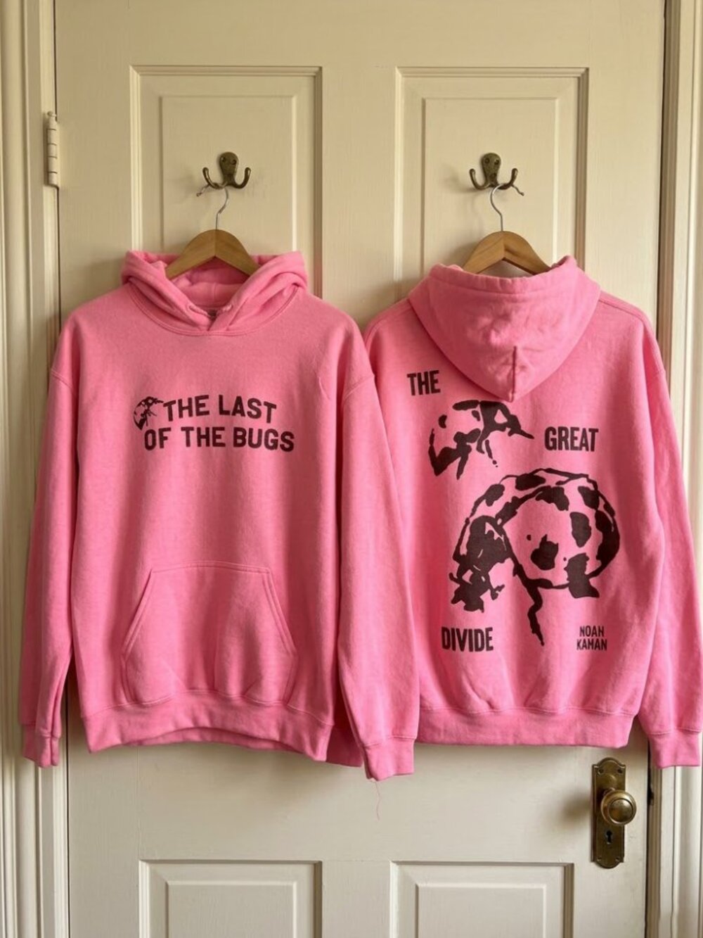 Noah Kahan Tour 2026 The Last Of The Bugs Hoodie Reprint
